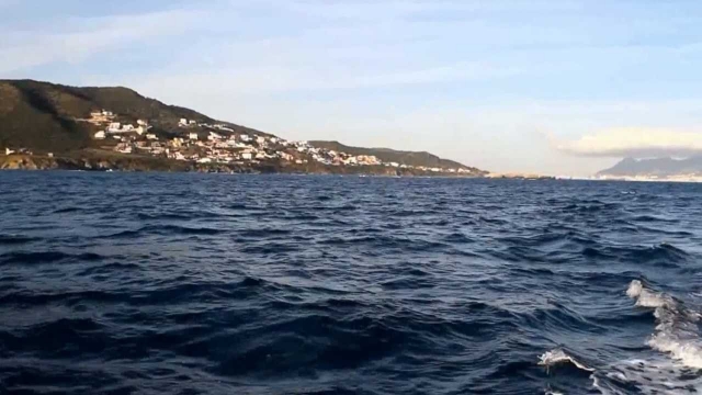 agua radikite